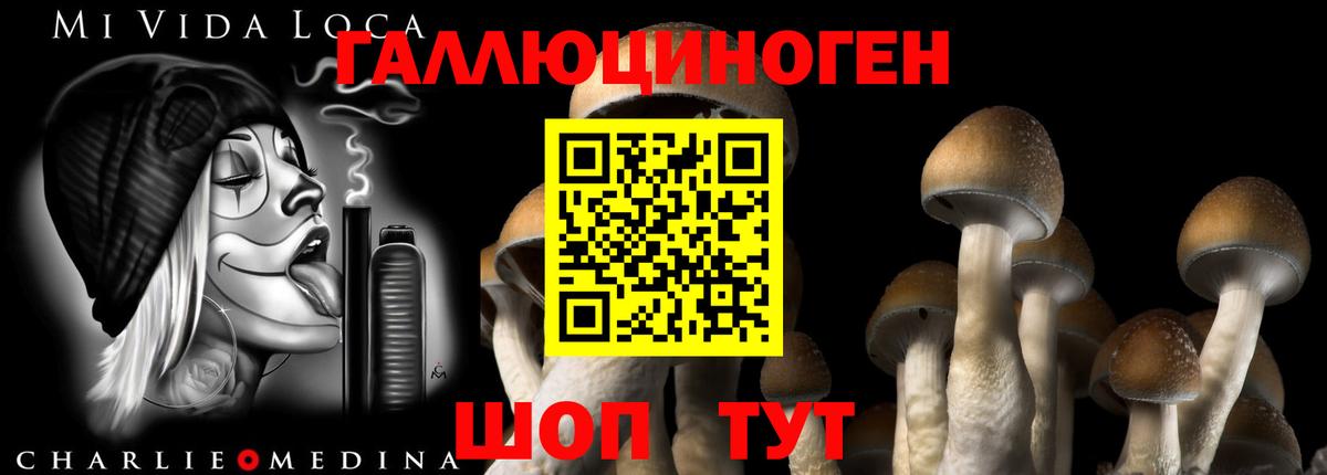 Псилоцибиновые грибы MAGIC MUSHROOMS  Псилоцибиновые грибы Cubensis  Вход с VPN  Черногорск 